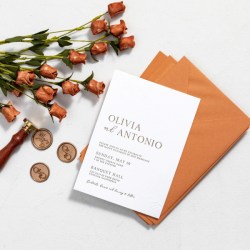 Nessuna immagine impostata 